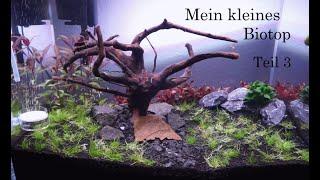 Aquascaping  - Teil 3  - Wasser marsch!