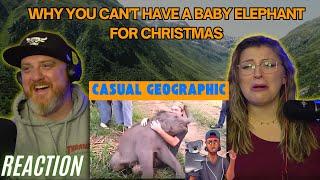 "Why You Can't Have a Baby Elephant for Christmas" @mndiaye_97 | Hatguy @gnarlynikki React