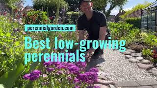 (My favorite) Low-Growing Perennials & Flowers for Garden Borders | Perennial Garden