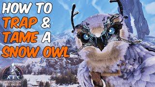 The Easiest Way To Trap & Tame a Snow Owl in ARK Survival Ascended + Full Ability Guide