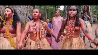 Yawanawa chants are the expression of the voice calling in the forest | Indigenous Songs of Amazon
