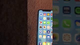 iPhone X Bad Buzzing/Crackling Noise