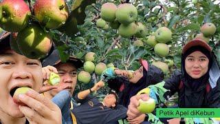 KEBUN APEL MALANG, MAKAN SEPUASNYA 