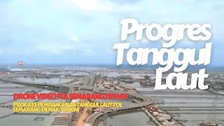 PROGRES PEMBANGUNAN TANGGUL LAUT TOL SEMARANG DEMAK