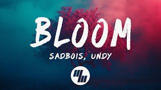 SadBois - Bloom (Lyrics) with UNDY