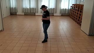 Beer For My Horses Lernvideo Teach & Dance Line Dance Biene Teil 1