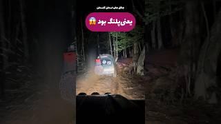 آفرود : بنظرتون چه حیوونی از سمت راست تصویر رد شد.      #آفرود #offroad #جنگل #شمال #اکیپ #تاریکی