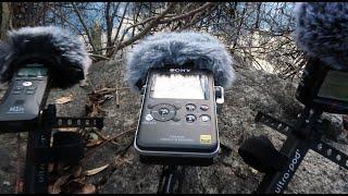 Zoom H1N vs Zoom H2N vs Sony PCM-D100 Audio recorders