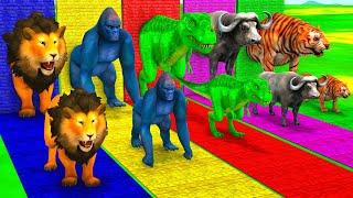 Elephant Tiger Lion Buffalo Dinosaur Choose The Right Wall Animal Crossing Fountain Matching Game