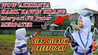 MELATIH MERPATER FREEFLIGHT||MERPATI X PUTER