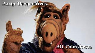 Альф. Успокойтесь. Alf. Calm down. #alf