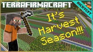 It's Harvest Season!!! - Terrafirmacraft