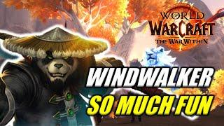 You Need To Play Windwalker - The War Within