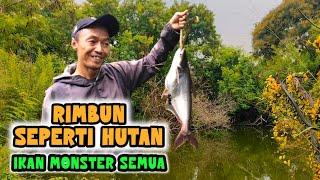 DANAU SEPERTI DI TENGAH HUTAN ISINYA IKAN BABON SEMUA || MANCING PETUALANG