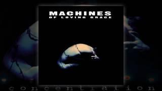 MACHINES OF LOVING GRACE - Acceleration