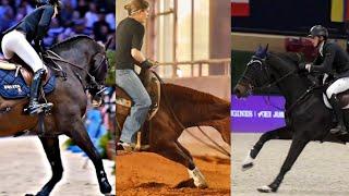 ️equestrian tiktok compilation 7 minutes ️