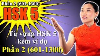 Từ vựng HSK 5 kèm ví dụ - Phần 2 (601-1300) + TIMESTAMPS - Tiếng Trung Trung Cấp