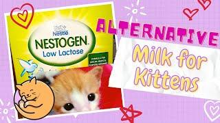 Alternative Kitten Milk - Nestogen Low Lactose