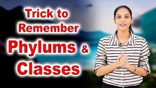 Class 10 I Trick to Remember Phylums & Classes I Kingdom Animalia I Biology I Home Revise