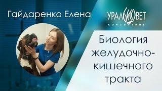 Биология желудочно-кишечного тракта. Гайдаренко Елена #убвк_гастроэнтерология