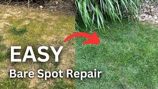 Transform Your Lawn: How To Fix Bare Spots Quickly!