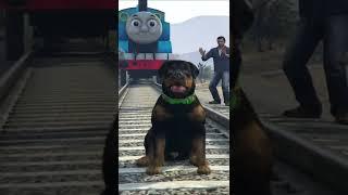 Chop Meets Thomas The Train #shorts