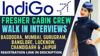 IndiGo Hiring Freshers Cabin Crew All India Recruitment | Indian Aviation Jobs