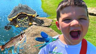 Neighborhood BUG HUNT With Caleb & Dad! First Time Fishing, Finding Baby TURTLES Backyard Adventure!