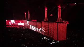 Roger Waters - Pigs @SKK Saint-Petesburg, Russia, 29.08.2018