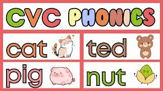 CVC Phonics: Preschool Reading with The ABC Song, Rhymes, and Alphabet Sounds