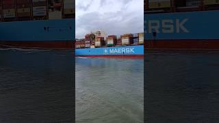 Maersk Houston should have dropped its toy.#ship #shipping#sea #container