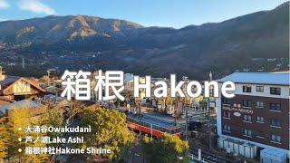 【Japan】Journey through Hakone : From Dawn till Dusk【EN Subtitles】| Hakone Ropeway | Hakone Shrine