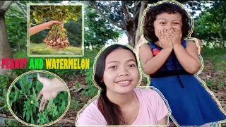 VISITING OUR SMALL GARDEN || Maricel Dupit