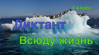 ВПР 2021 по русскому языку в 4 классе. Диктант с заданиями