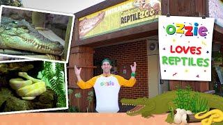 Reptiles For Kids | Learn About The World's Deadliest Snakes | Educational Kid's Video With Ozzie