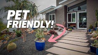 Tips for a Dog Friendly Garden | Mixing it up in Pacific Beach