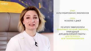 Как проходит ЭКО? Этапы программы