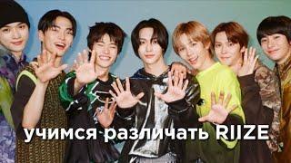 учим k-pop группу RIIZE/учимся различать RIIZE | vetmifi