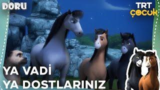 Doru | Ya Vadi Ya Dostlarınız