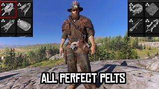 I got a perfect pelt for every animal in Red Dead Redemption 2