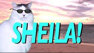 HAPPY BIRTHDAY SHEILA! - EPIC CAT Happy Birthday Song