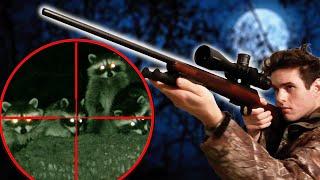 Raccoon Hunting with 17HMR at Night! (SCOPE CAM)