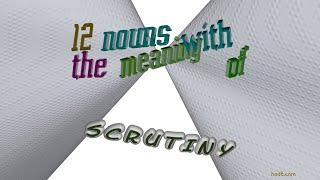 scrutiny - 14 nouns which are synonyms to scrutiny (sentence examples)