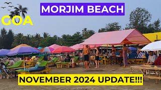 Is Morjim Beach REALLY Better Than Other Goa Beaches for Winter 2024