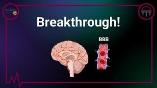 Breaching the Blood Brain Barrier