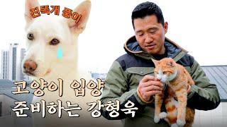 고양이와 함께 사는 풍이네 놀러 간 개통령 [안고독한 훈련사 EP.3]