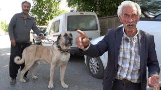 POLİSTEN KAÇARKEN TAHİR EMMİYE BEN YARDIM ETTİM DEDİ ! GASSAL ÖLÜLERE PAMUĞU TIKAR KÖPEK BIRAKMAZ