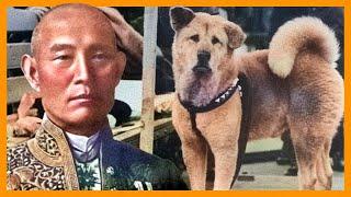 HACHIKO, the story of the faithful dog ️