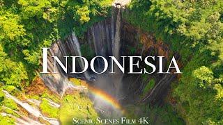 Indonesia In 4K - Amazing Tropical Place Of Asia | Scenic Relaxation Film