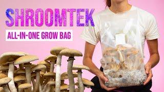 Grow Mushrooms Right in the Bag! | ShroomTek All-In-One Mushroom Grow Bag by North Spore